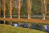 Cjp_2009_10_29_163148 (1)_HDR-D1.jpg